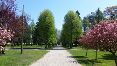 Grajski park z ribnikom