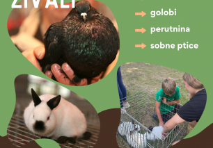 Društvena razstava malih živali