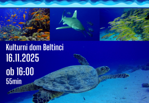 Kino - Podvodno kraljestvo v deželi faraonov