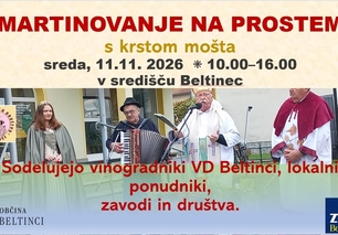 MARTINOVANJE