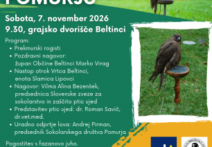 ODPRTJE LOVA S SOKOLI