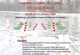 GREGORJEVO - PTIČKI SE ŽENIJO