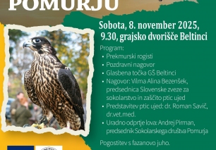 Svečano odprtje lova s sokoli v Pomurju