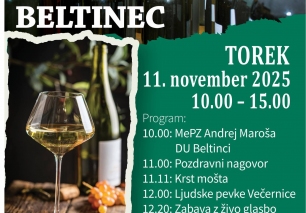 Martinovanje na prostem