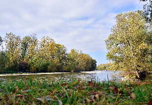 Naravna dediščina